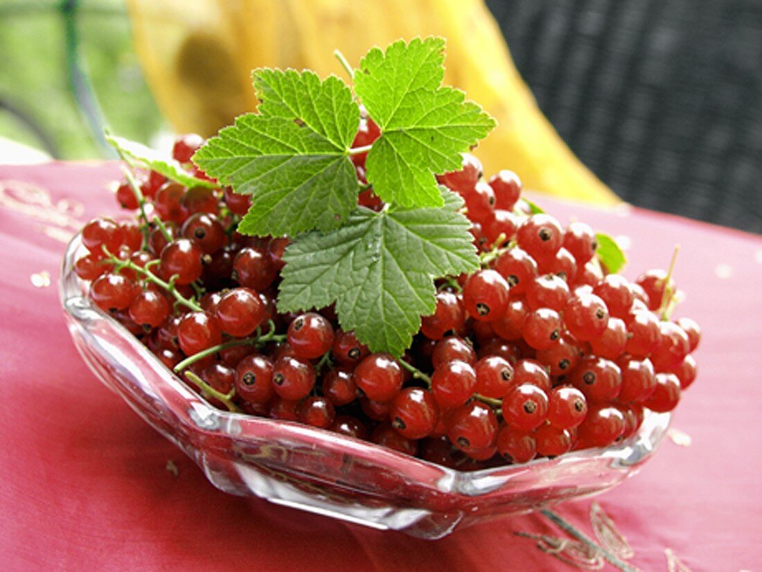 Rote Johannisbeeren mit Blättern in Glasschale