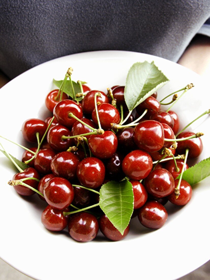 Cherries in a Bowl