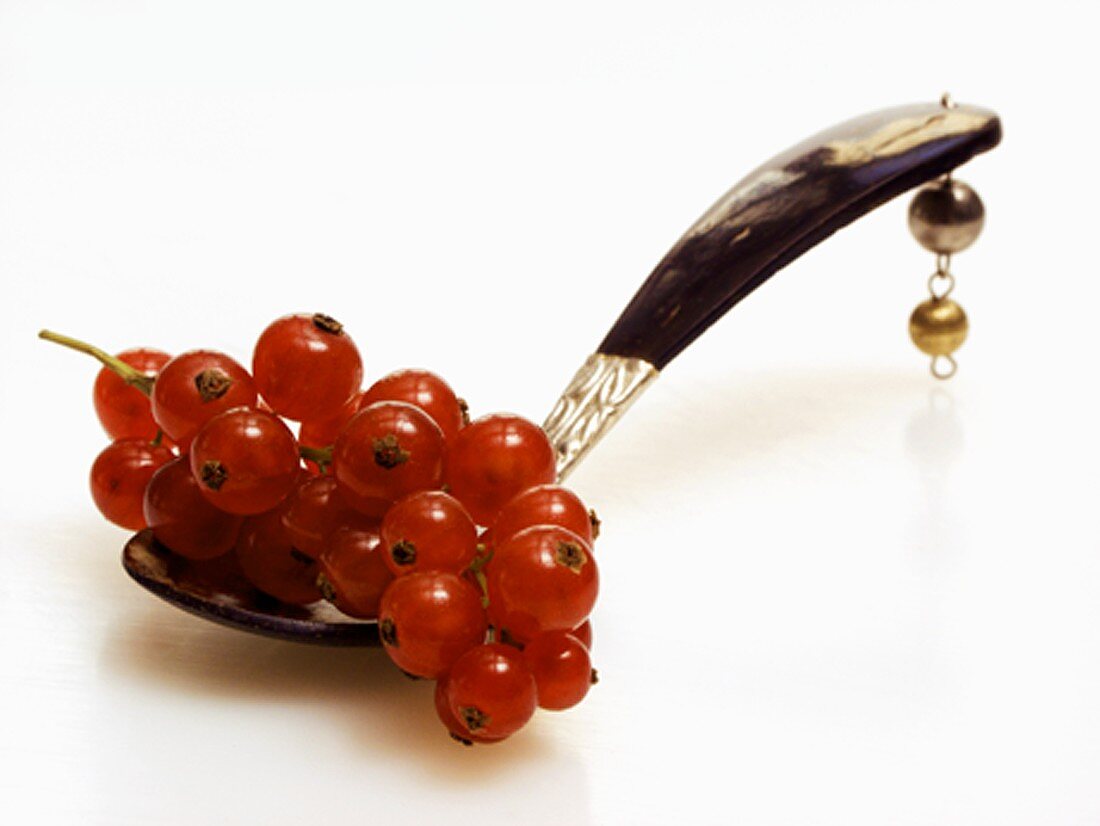 Red Currants on a Spoon