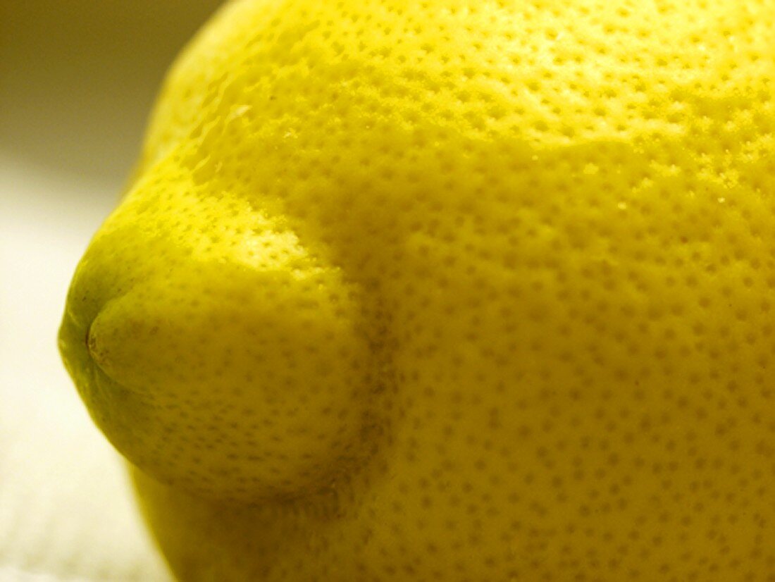 Zitrone (Detail)
