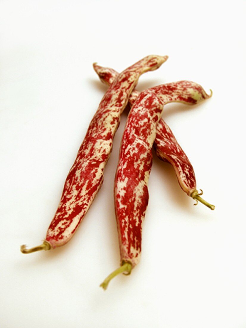 Three Cranberry Beans