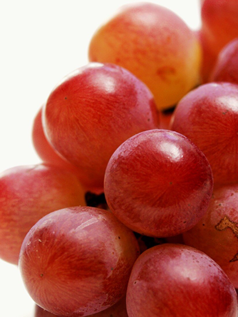 Red Grapes