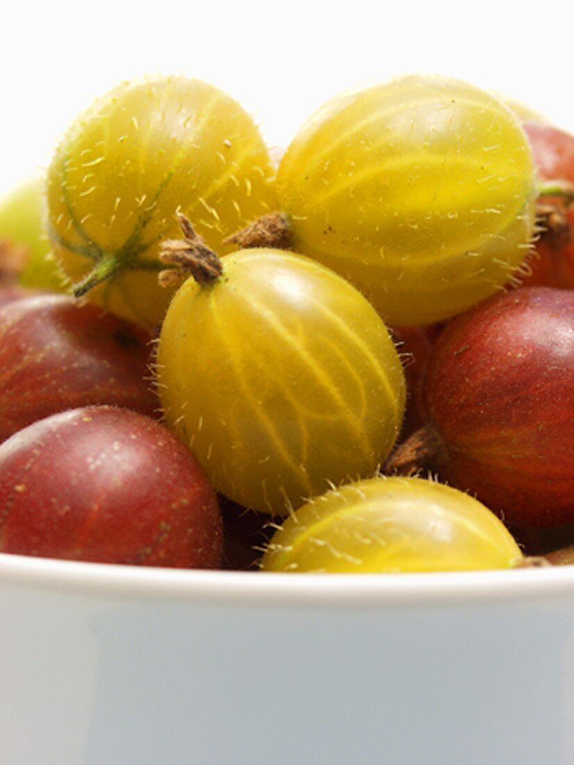 Gooseberries in a Bowl