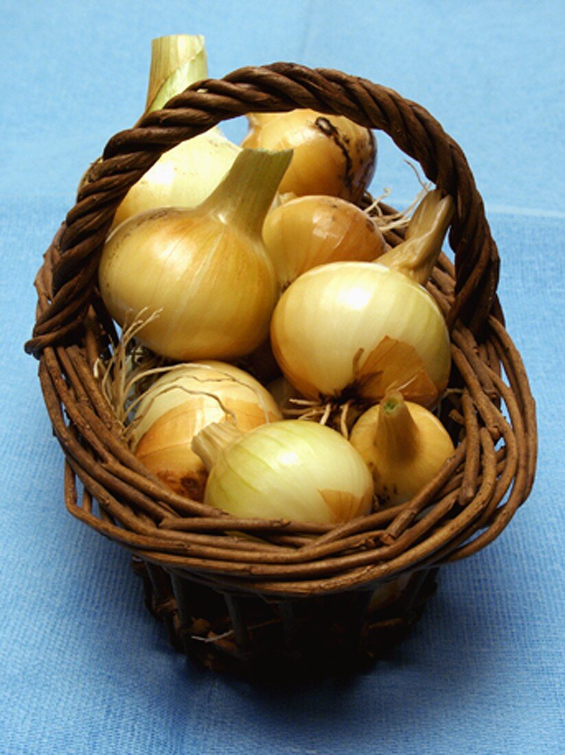 Basketful of Onions