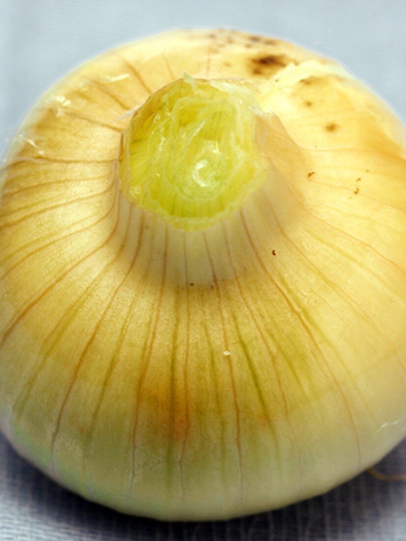 One Onion