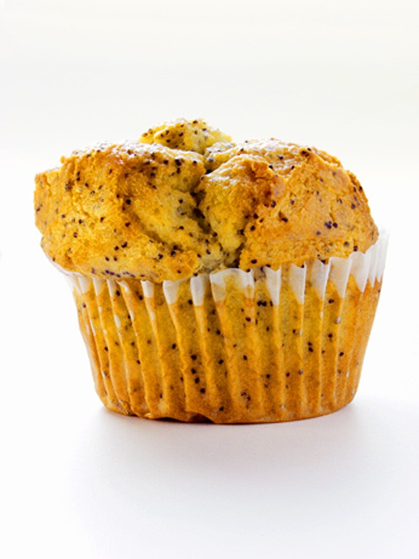 Poppy Seed Muffin