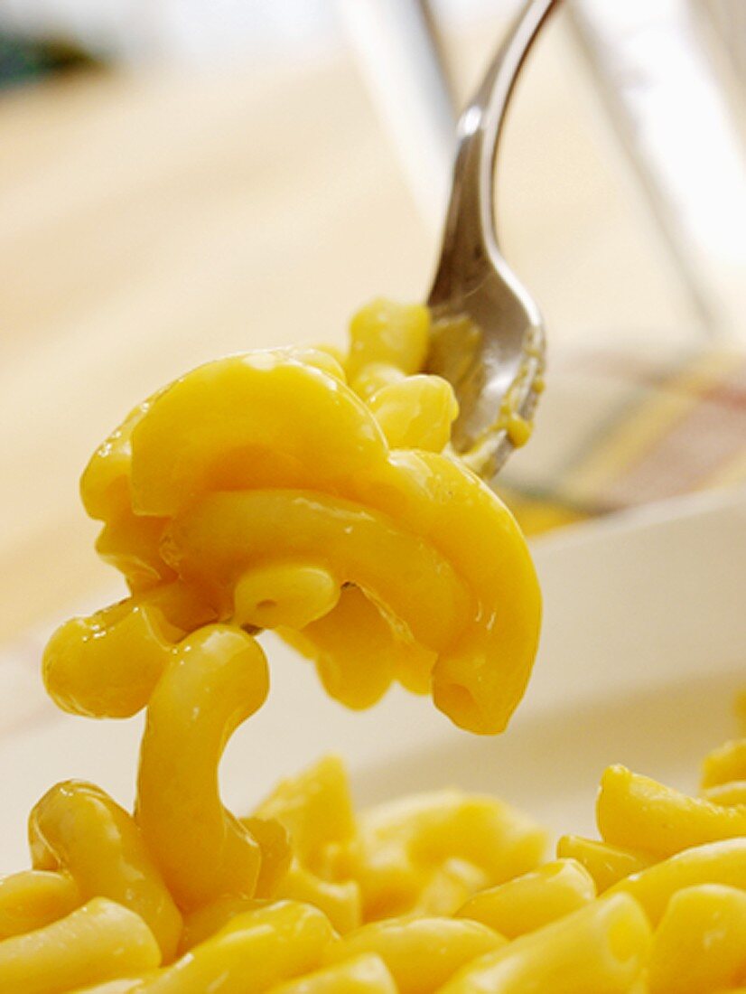 Forkful of Macaroni and Cheese