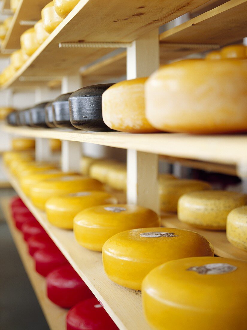 Cheeses on shelves