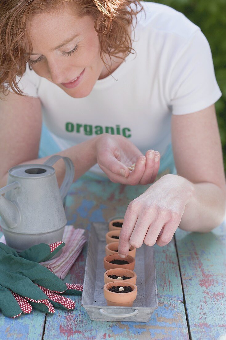 Sowing seeds in small pots