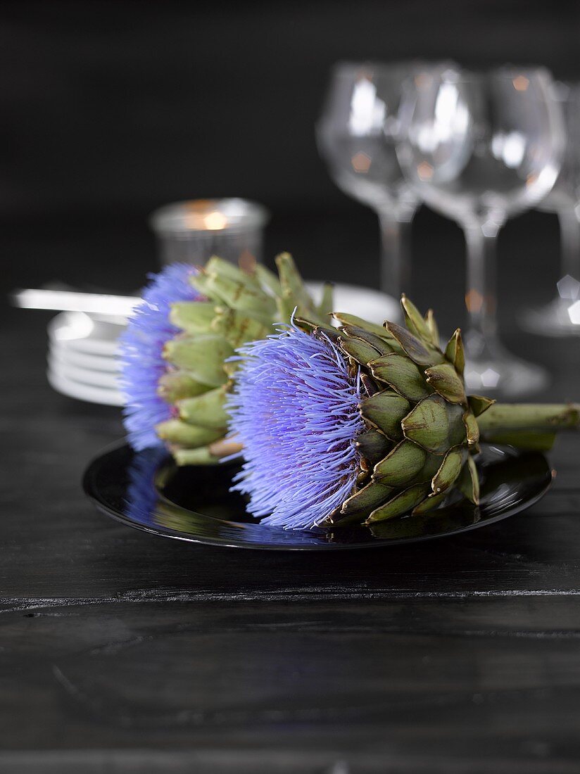 Artichoke flowers on black plate