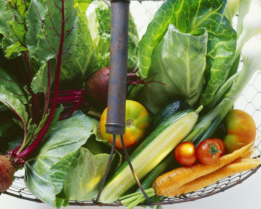 Fresh vegetables in a wire basket