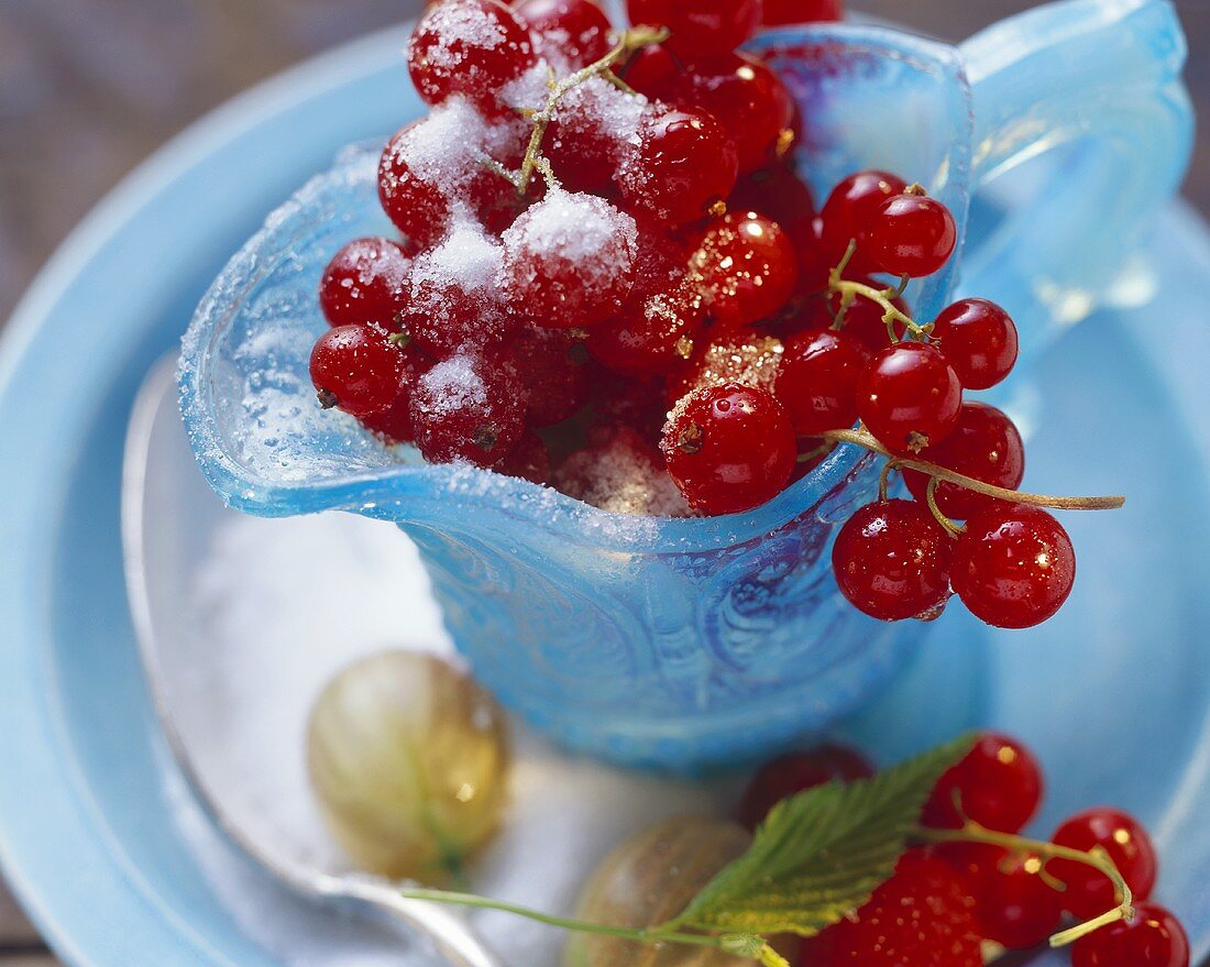 Rote Johannisbeeren mit Zucker im Glas