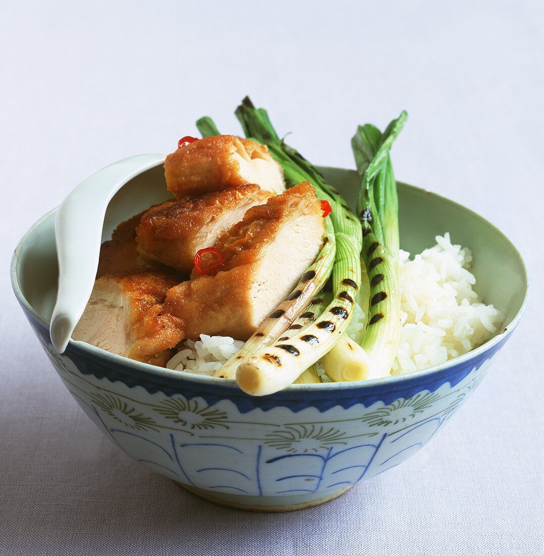 Chicken with spring onions on a bed of rice (China)