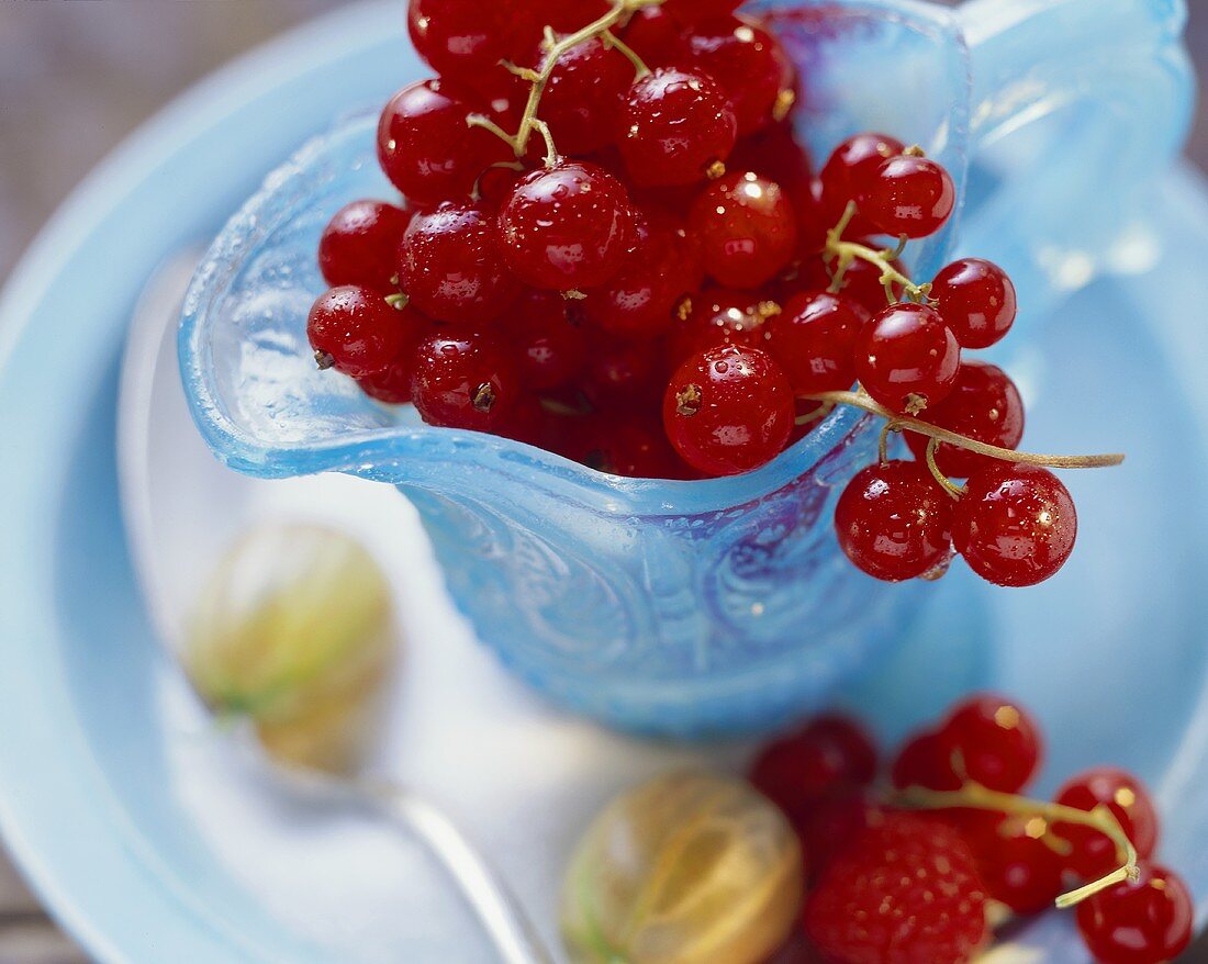 Redcurrants in a glass