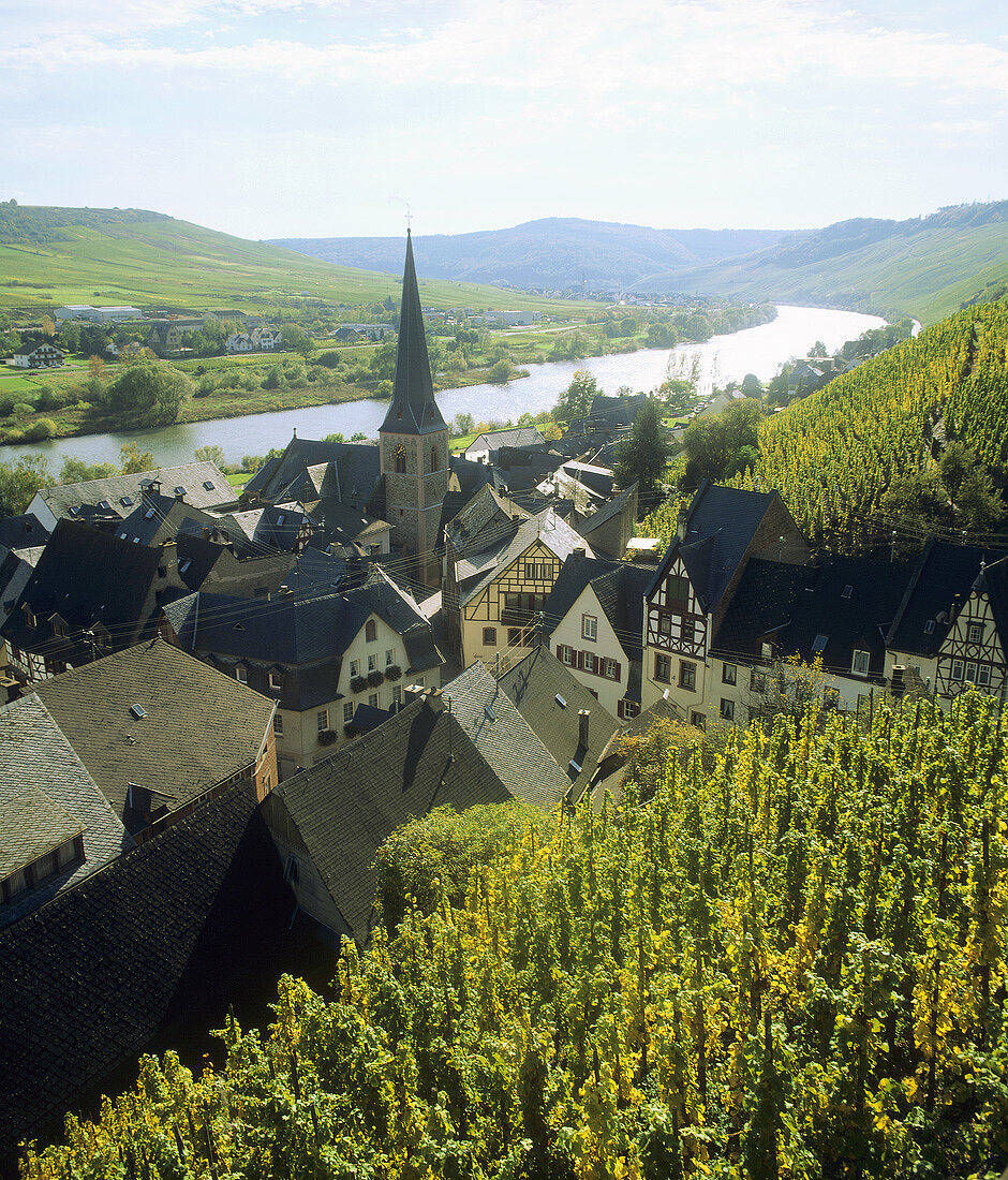 Blick nach Ürzig, Obermosel, Mosel-Saar-Ruwer, Deutschland