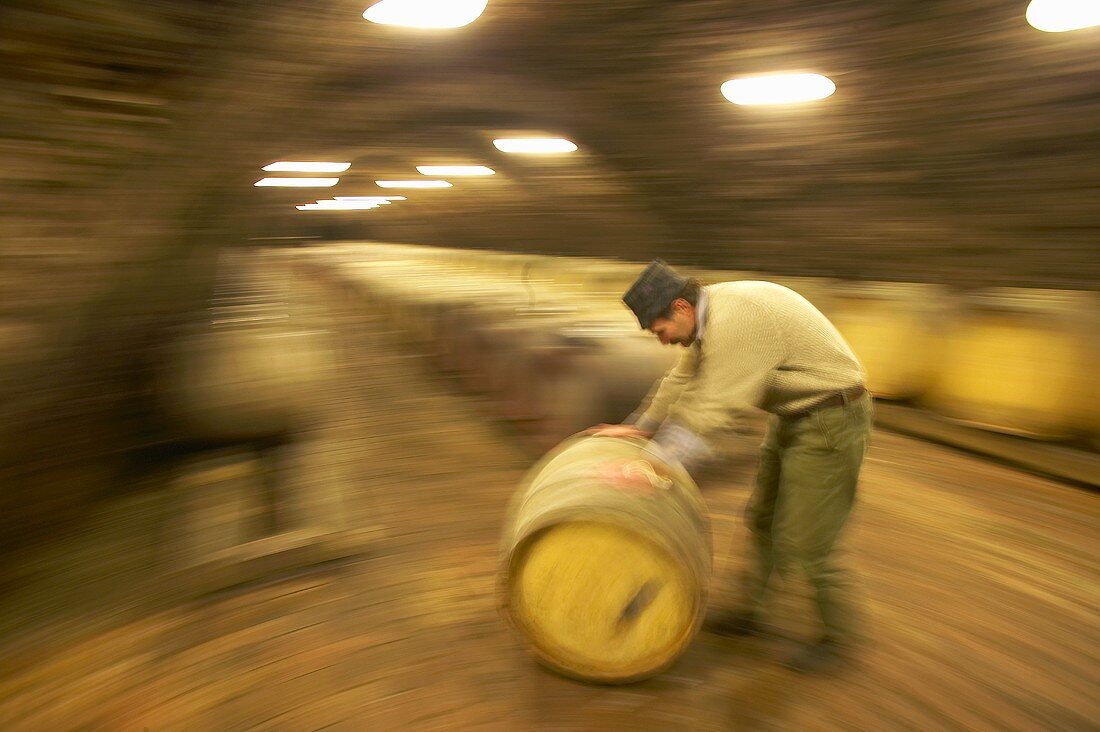 Mann rollt Weinfass, Kiralyudvar Winery, Tarcal, Ungarn