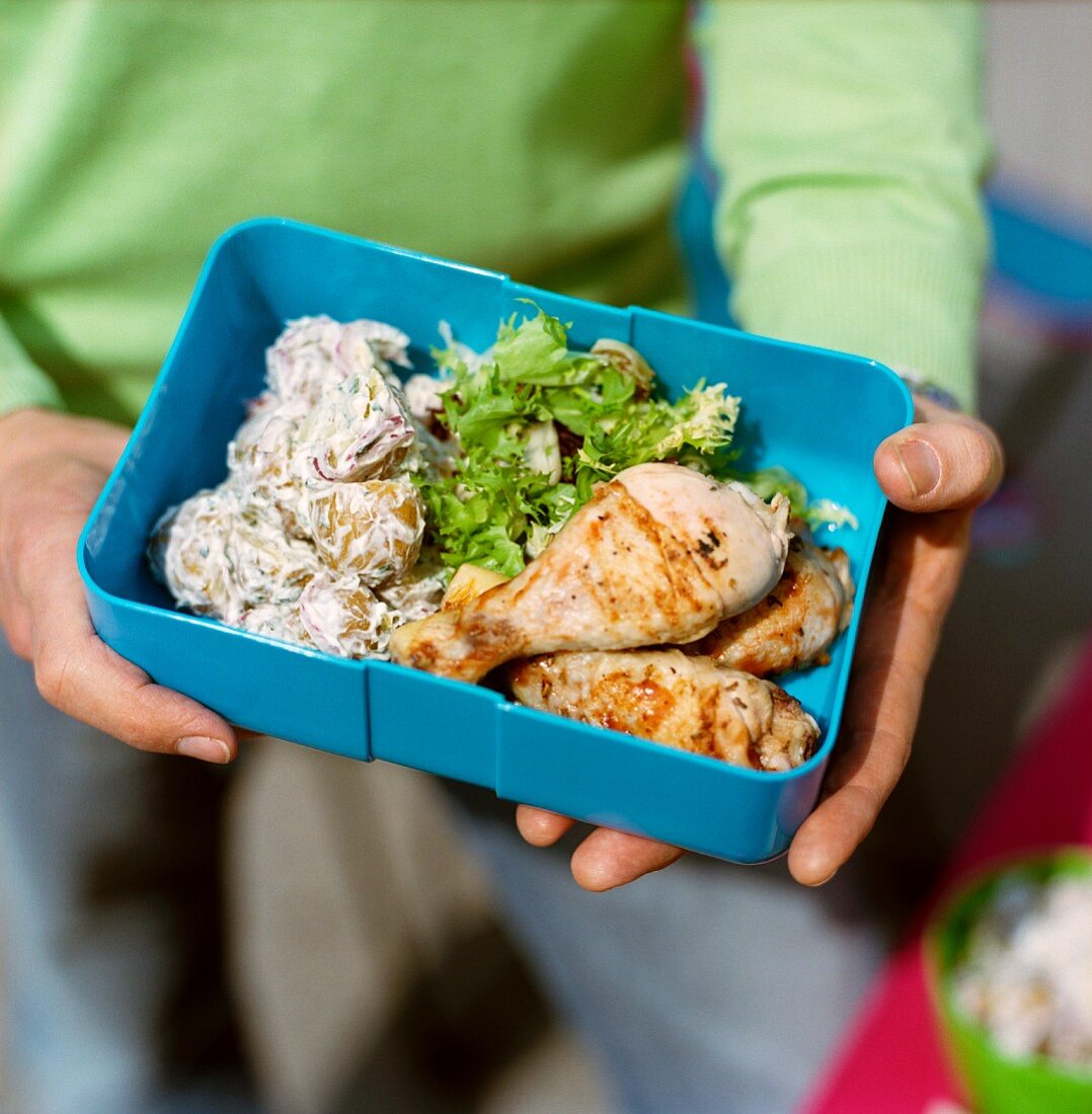 Grilled chicken legs with potato salad in picnic box