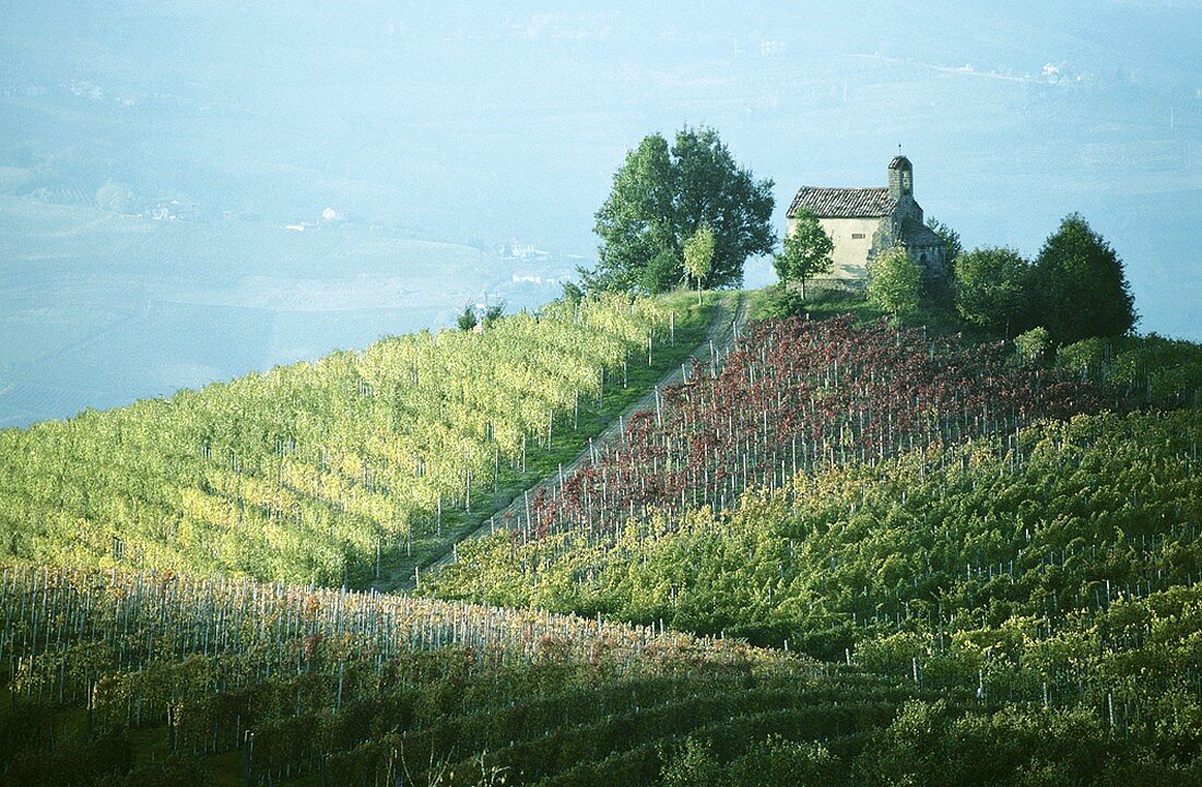 Chapel of Santo Stefano above Barolo vineyard, Piedmont, Italy