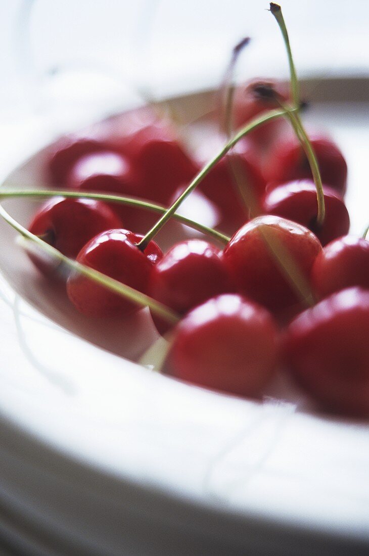 Cherries in a dish