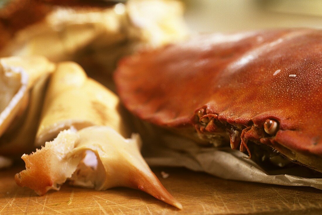 Crab and crabmeat, close-up