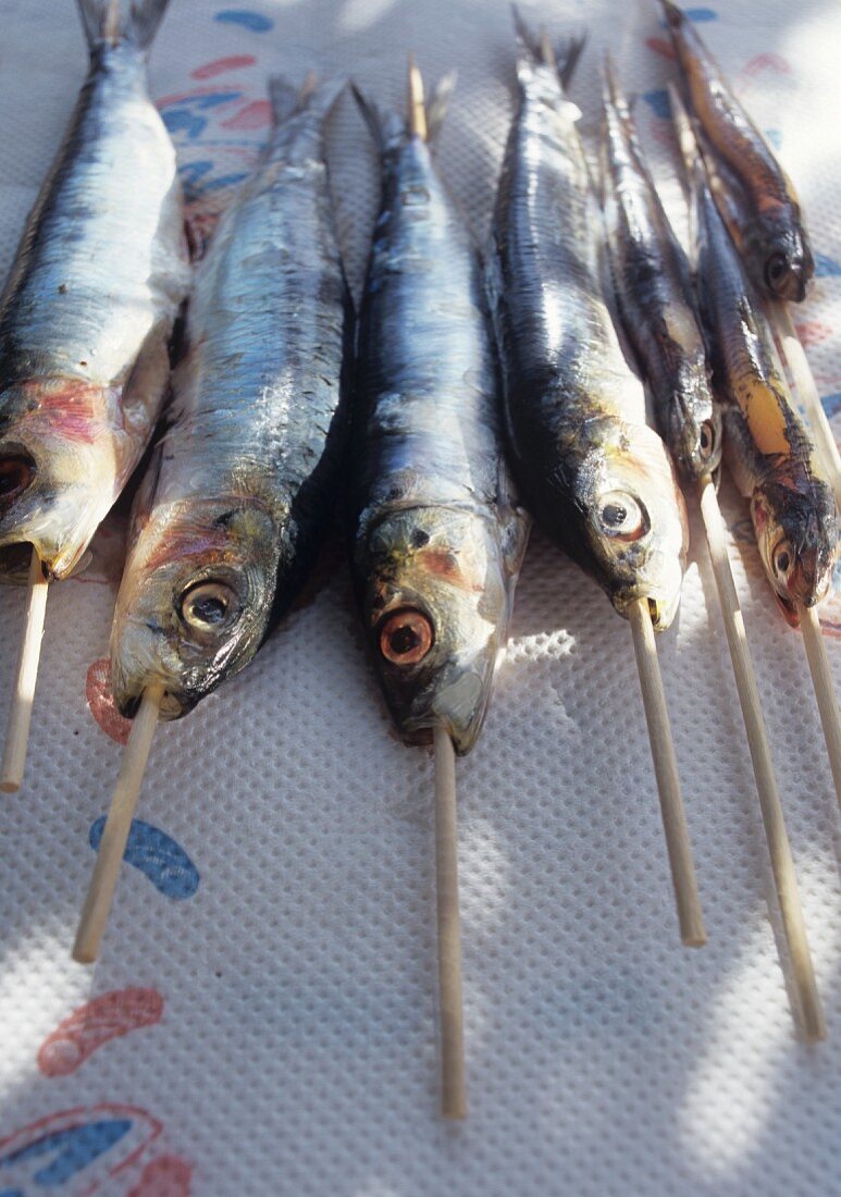 Fresh sardines on skewers ready for grilling