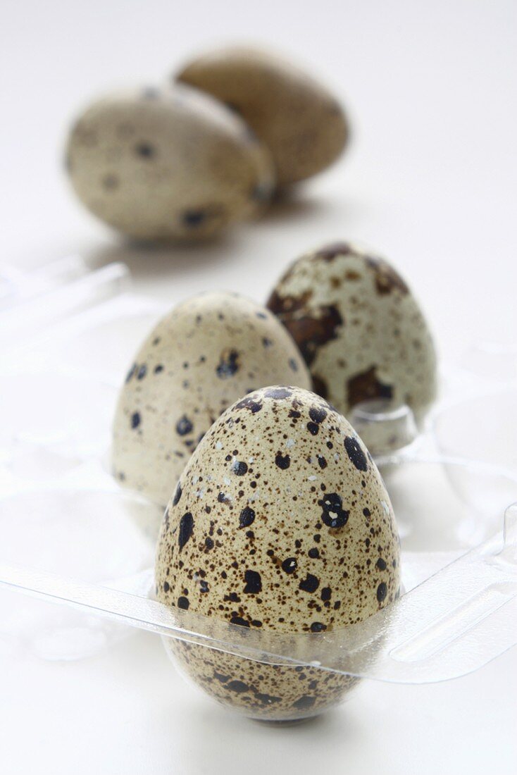 Quails' eggs