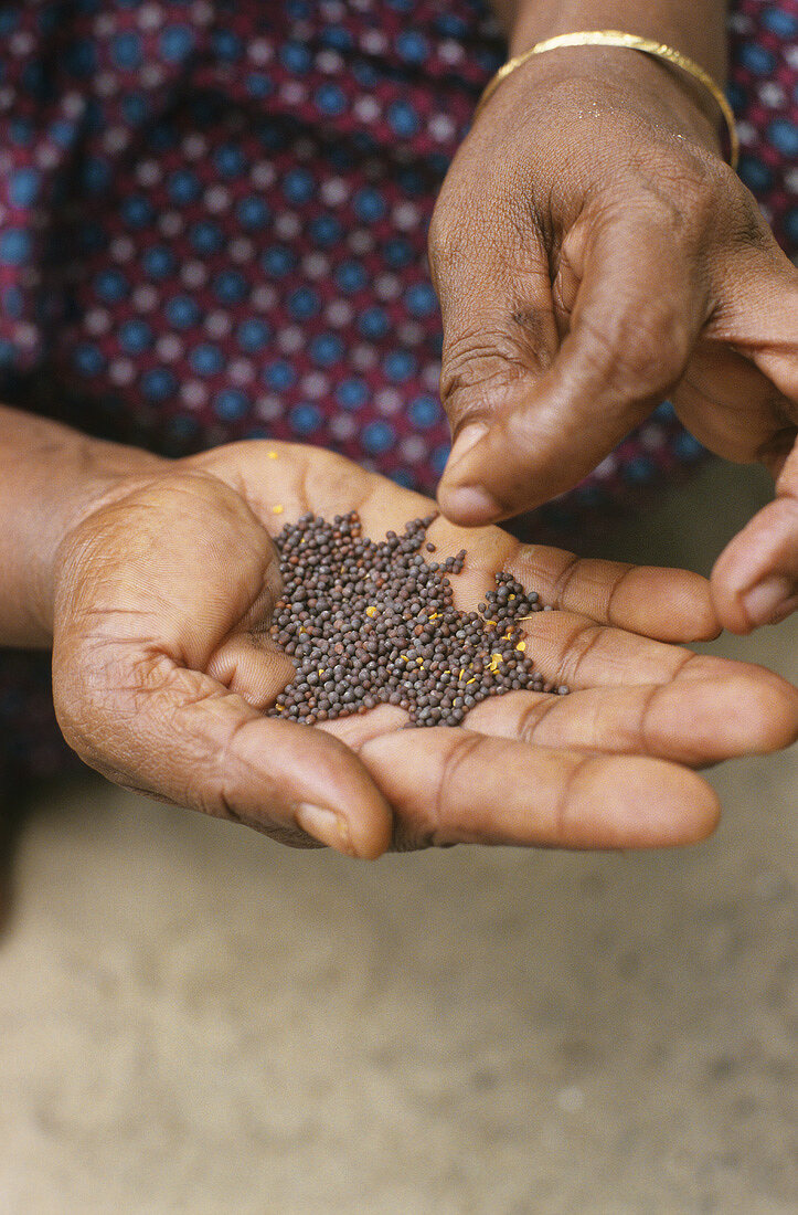 Indian woman holding black mustard seeds (detail)