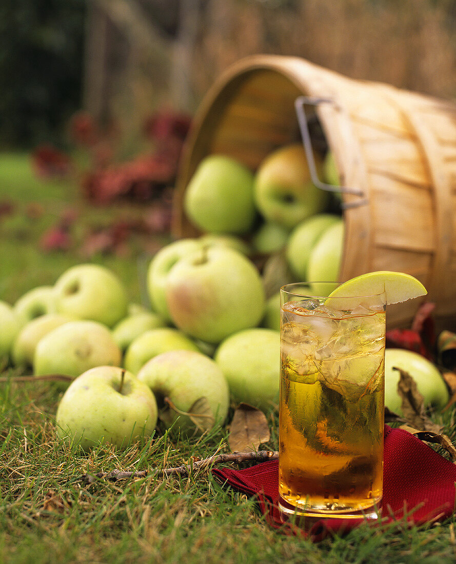 Apfelsaft und Äpfel im Gras