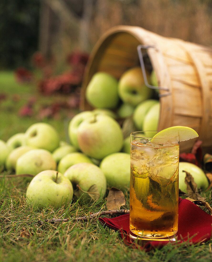 Apple juice and apples on grass