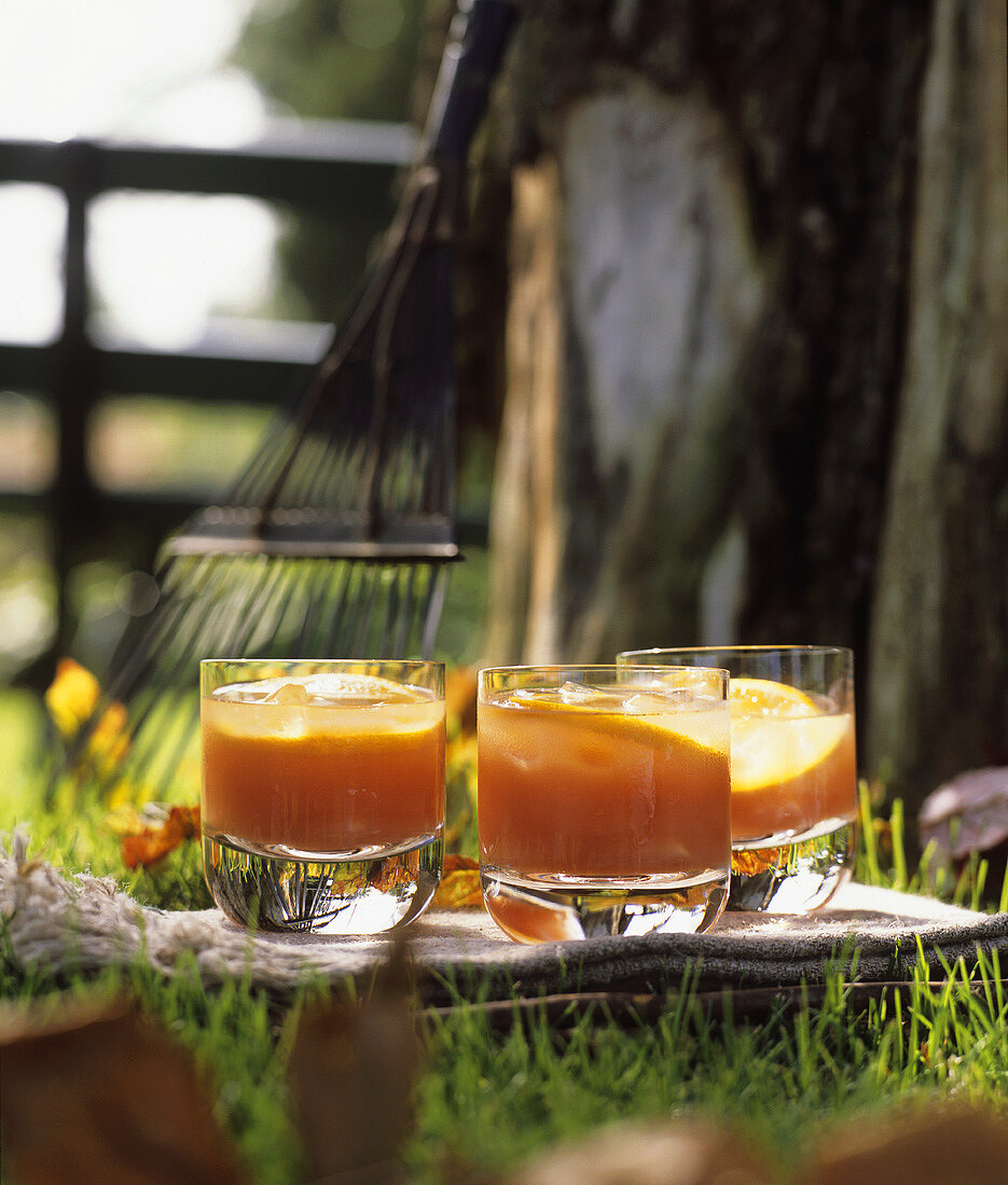 Tomato juice with slices of orange