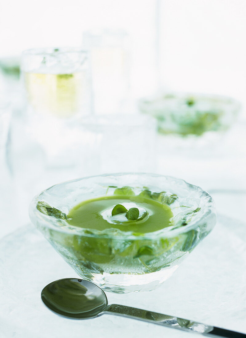 Chilled basil soup