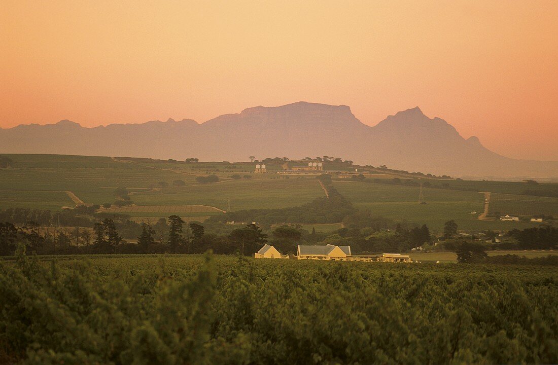 Morning around Helderberg, view of Table Mountain, S. Africa