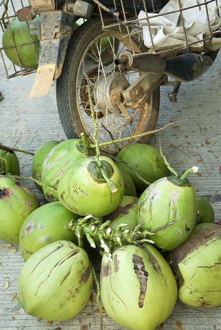 Kokosnüsse, Strassenverkauf in Phnom Penh, Kambodscha