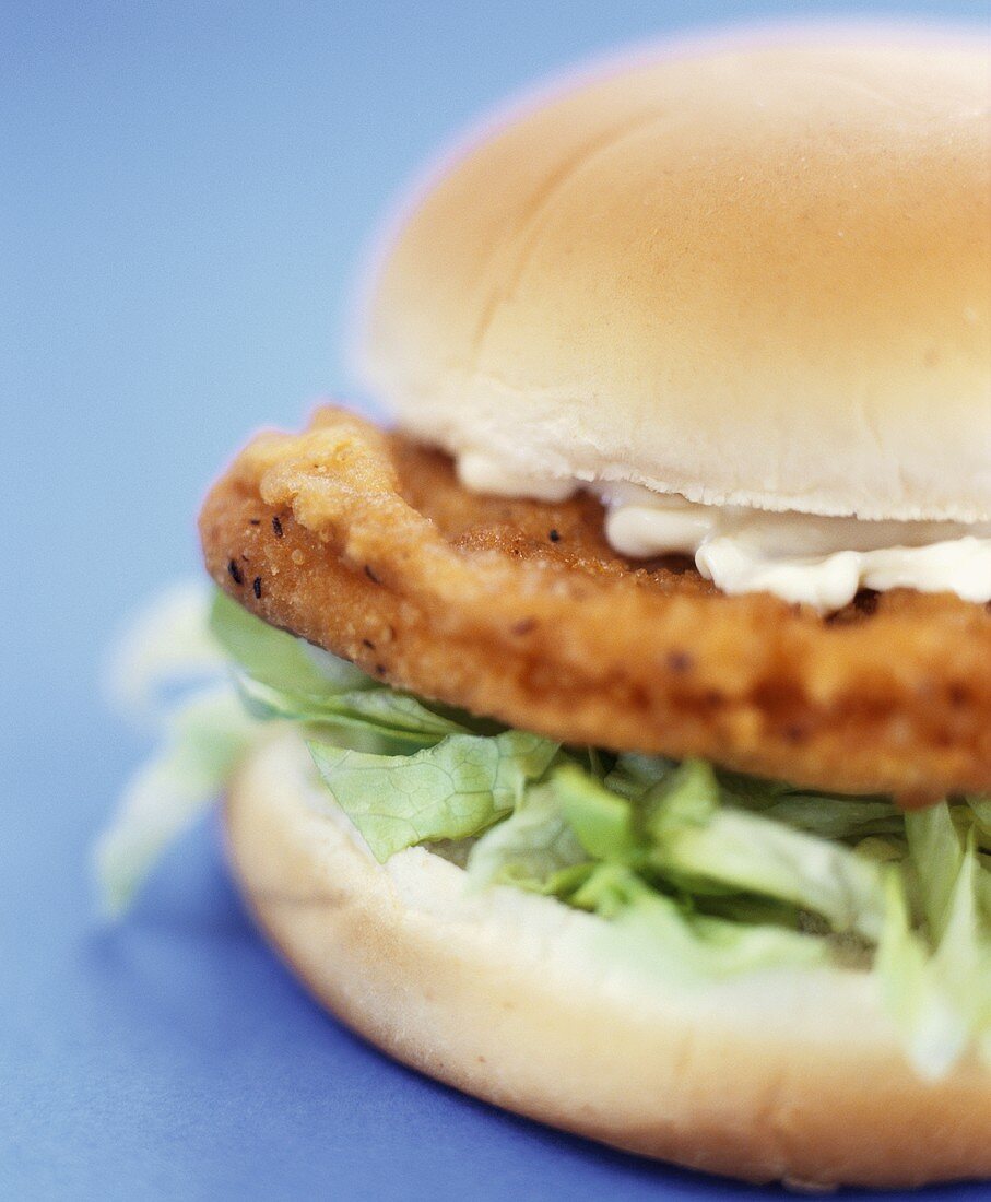 Chicken burger with lettuce and mayonnaise