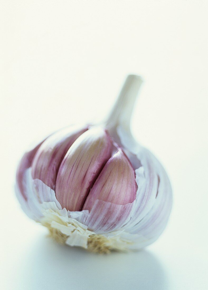 Garlic bulb