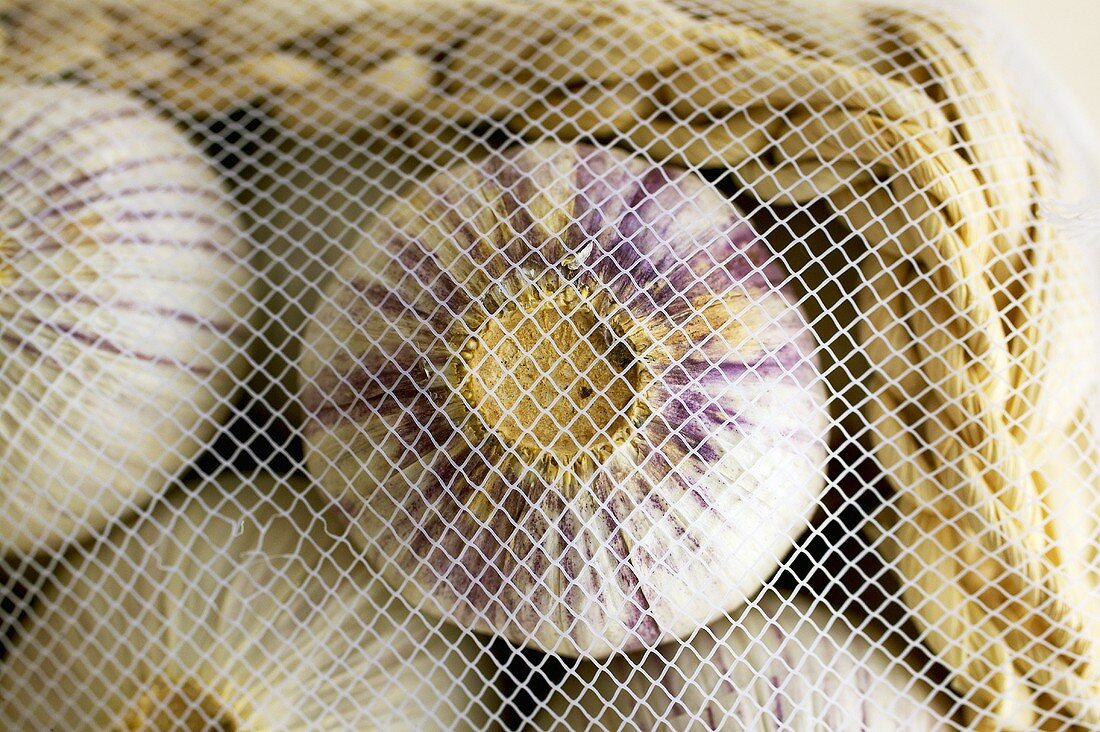 Knoblauch in einem Körbchen mit Netz