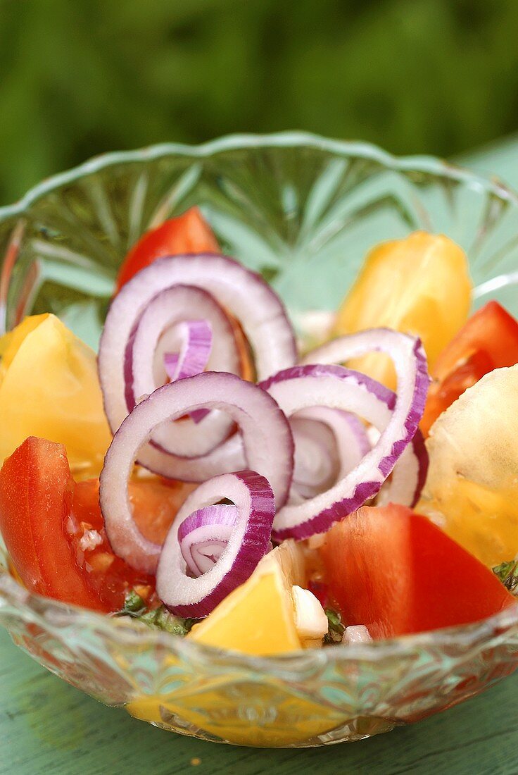 Salat von roten und gelben Tomaten