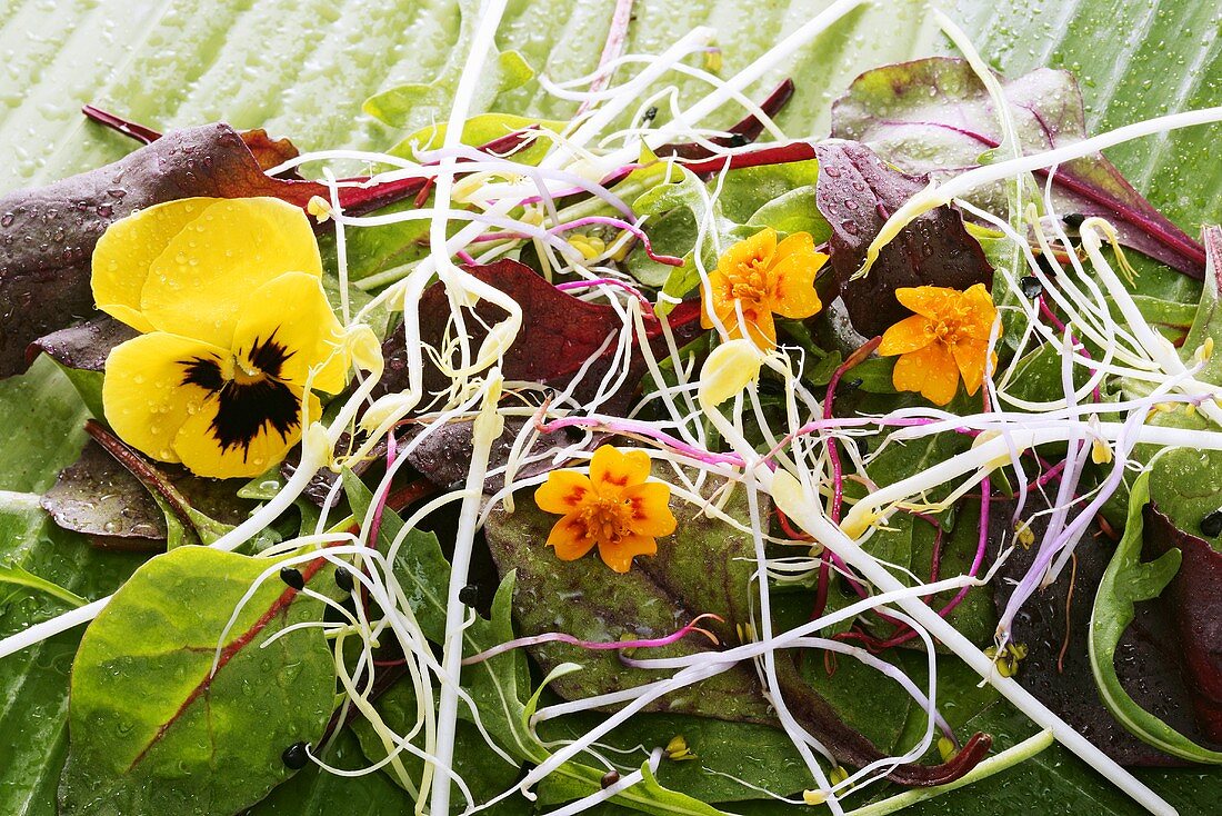 Flower salad with sprouts on a banana leaf