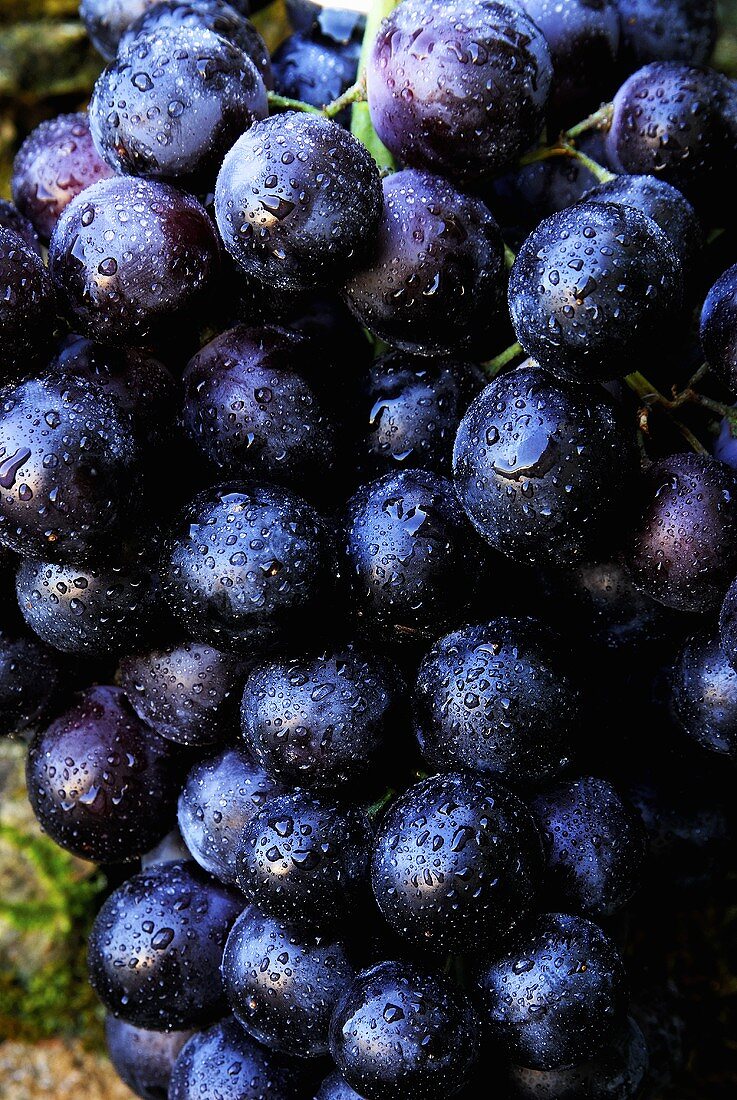 Black grapes