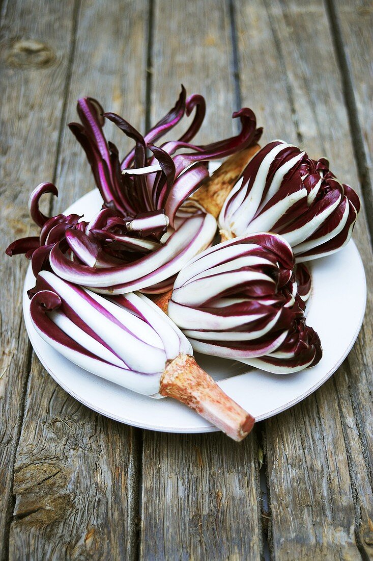 Radicchio Trevisano auf einem Teller – Bilder kaufen – 875283 StockFood