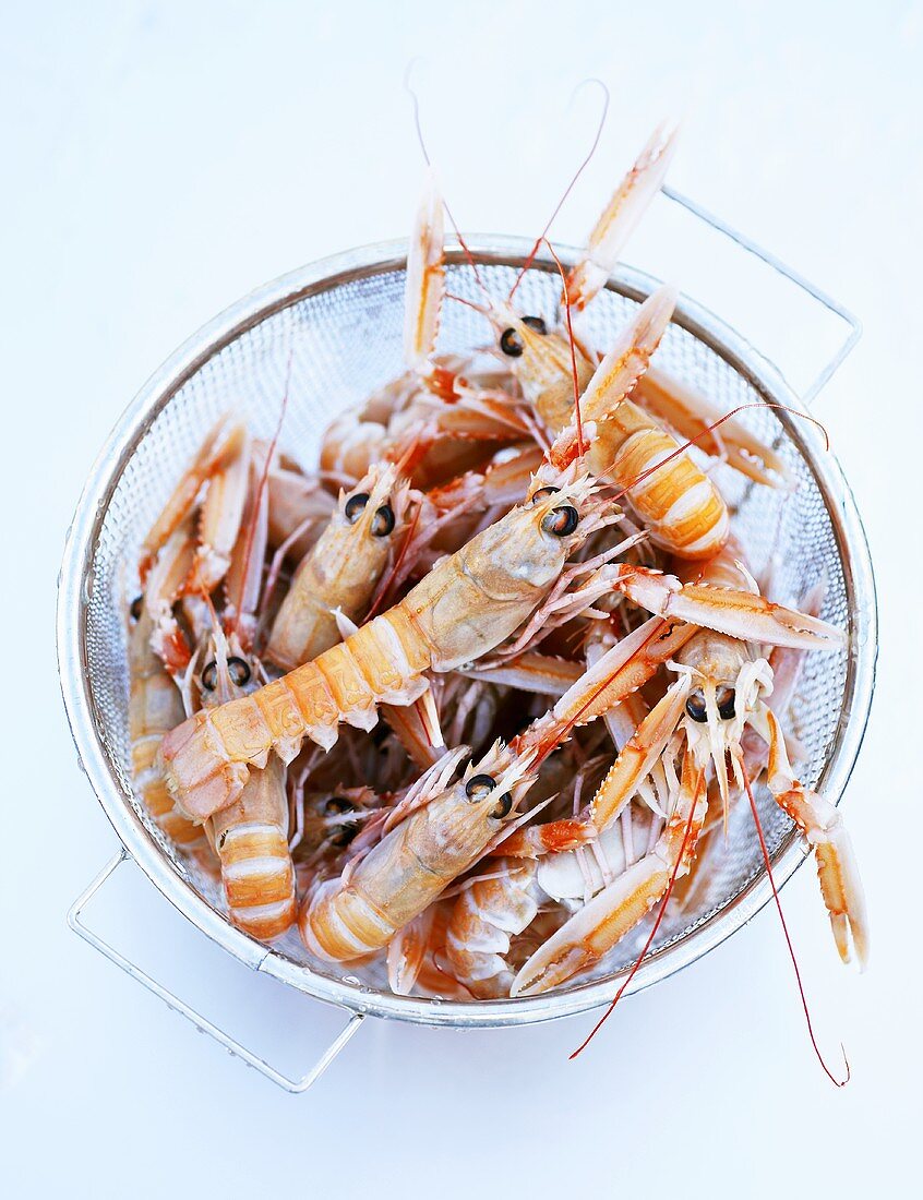 Fresh scampi in a sieve