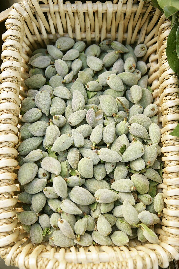 Fresh unshelled almonds in a basket