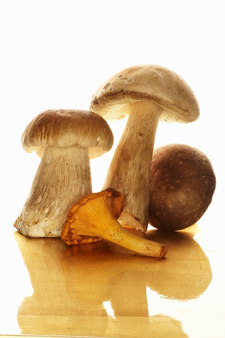 Pfifferling, Steinpilz und Champignon