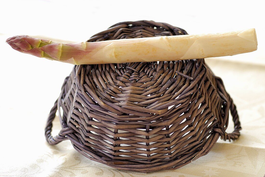 A white asparagus spear on a small basket