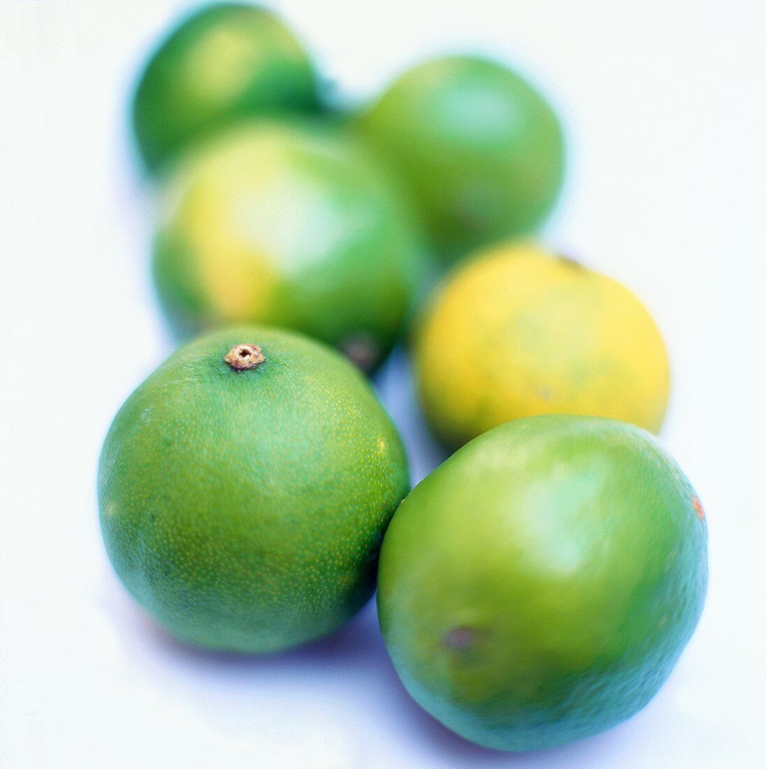 Six limes