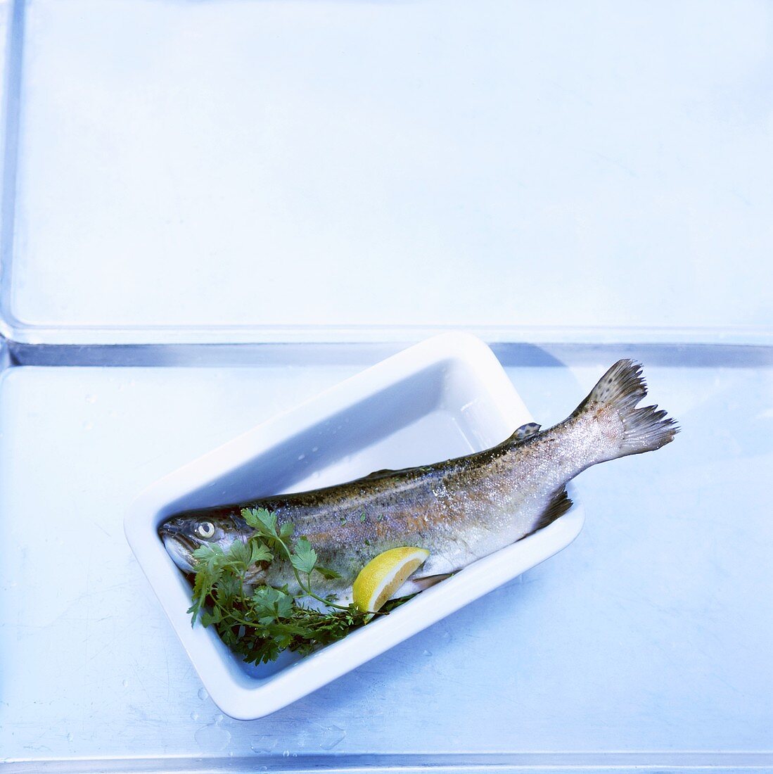 A trout with herbs and lemon in a dish
