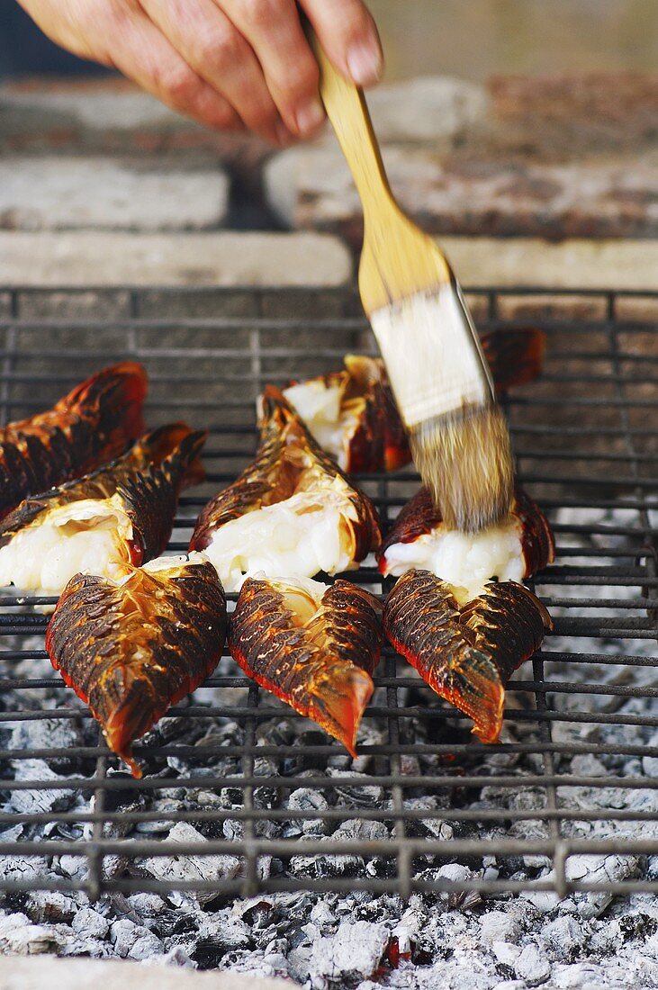Spiny lobster tails on grill, being brushed with oil