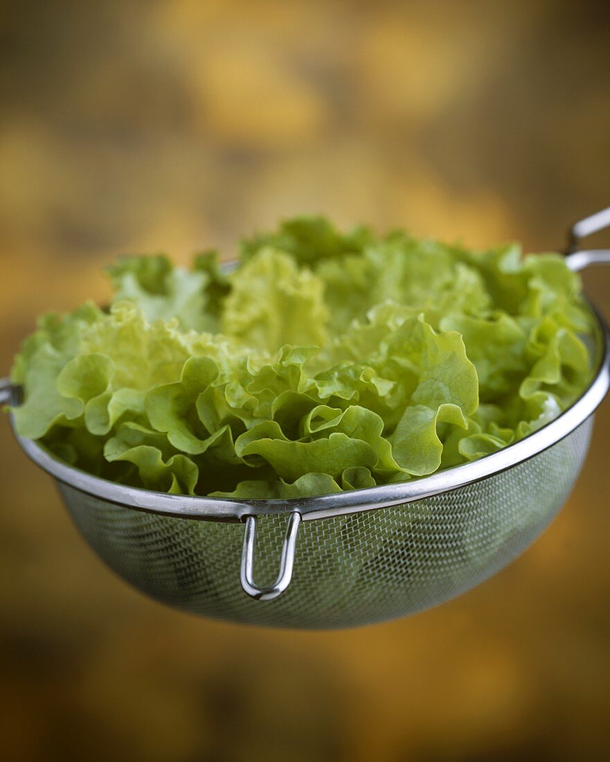 Lettuce in a sieve