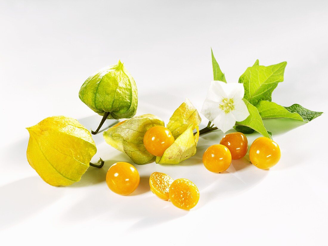 Cape gooseberries with flower