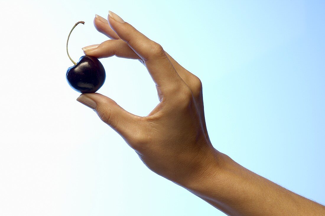 Woman's hand holding a cherry